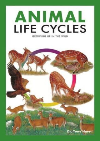 Supplemental image for 9789815044492 - Animal Life Cycles