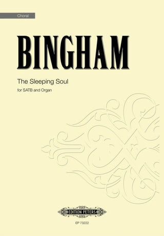 Cover image for 9790577022932 - The Sleeping Soul