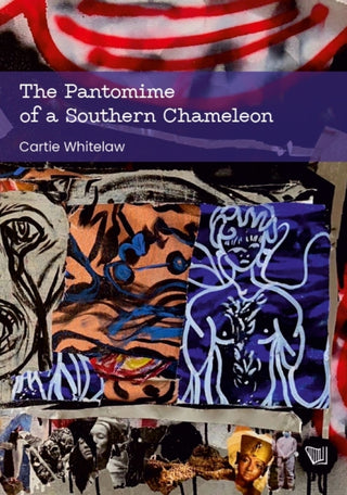 Cover image for 9791399106695 - The Pantomime of a Southern Chameleon