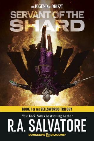Supplemental image for 9798217093304 - Servant of the Shard: Dungeons & Dragons