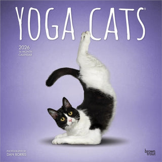 Cover image for 9798330701919 - Yoga Cats 2026 Square Flap Calendar