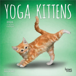 Cover image for 9798330701940 - Yoga Kittens 2026 Mini 7x7 Calendar