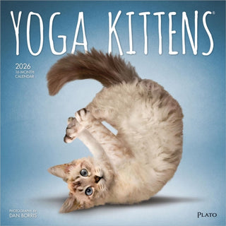 Cover image for 9798330701964 - Yoga Kittens 2026 Square Plato Calendar