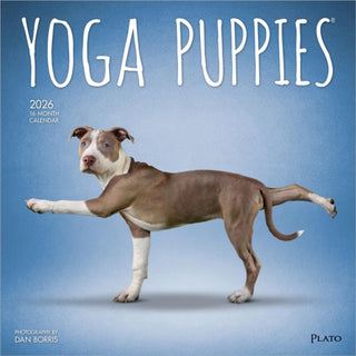 Cover image for 9798330701995 - Yoga Puppies 2026 Square Plato Calendar