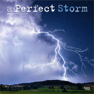 Cover image for 9798330702008 - Perfect Storm 2026 Square Flap Foil Calendar
