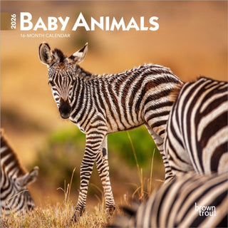 Cover image for 9798330702237 - Baby Animals 2026 Mini 7x7 Calendar