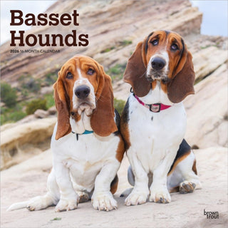 Cover image for 9798330702329 - Basset Hounds 2026 Square Flap Calendar