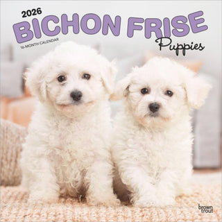 Cover image for 9798330702435 - Bichon Frise Puppies 2026 12 x 24 Monthly Square Calendar