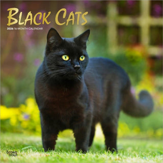 Cover image for 9798330702480 - Black Cats 2026 Square Flap Foil Calendar