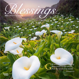 Cover image for 9798330702497 - Blessings 2026 Square Flap Calendar