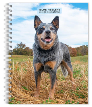 Cover image for 9798330702503 - Blue Heelers 2026 Engagement Diary