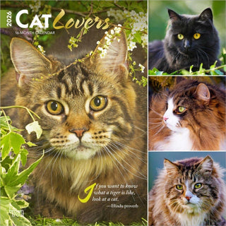 Cover image for 9798330702787 - Cat Lovers 2026 Square Flap Foil Calendar