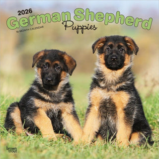 Cover image for 9798330703364 - German Shepherd Puppies 2026 Square Flap Calendar