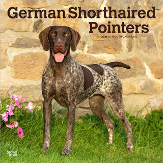 Cover image for 9798330703401 - German Shorthaired Pointers 2026 Square Flap Calendar