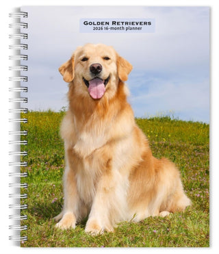 Cover image for 9798330703470 - Golden Retrievers 2026 Engagement Diary