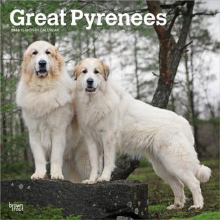 Cover image for 9798330703531 - Great Pyrenees 2026 Square Flap Calendar