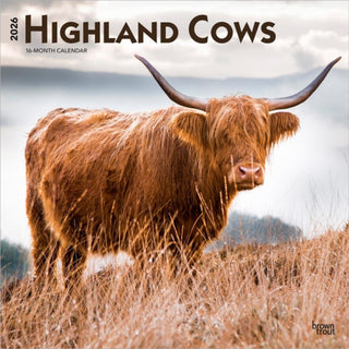 Cover image for 9798330703630 - Highland Cows 2026 Square Flap Calendar