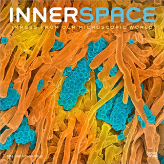 Cover image for 9798330703883 - Microscopic World of Innerspace 2026 Square Flap Calendar