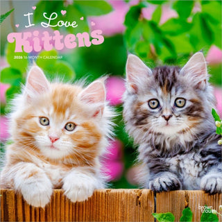 Cover image for 9798330704149 - Kittens, I Love 2026 Square Flap Calendar