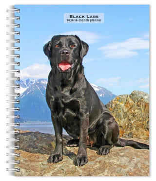 Supplemental image for 9798330704231 - Labrador Retrievers, Black 2026 Engagement Diary