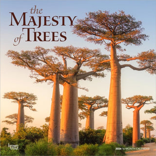 Cover image for 9798330704491 - Majesty of Trees, The 2026 Square Flap Calendar