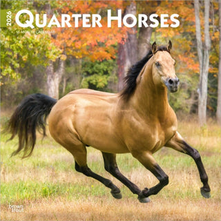 Cover image for 9798330705290 - Quarter Horses 2026 Square Flap Calendar
