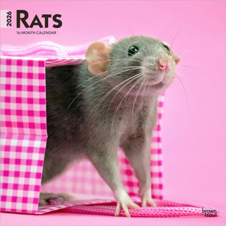 Cover image for 9798330705313 - Rats 2026 Square Flap Calendar