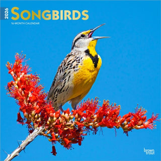 Cover image for 9798330705634 - Songbirds 2026 12 X 24 Monthly Square Wall Foil Calendar