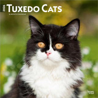 Cover image for 9798330706068 - Tuxedo Cats 2026 Square Flap Calendar