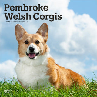 Cover image for 9798330706242 - Welsh Corgis, Pembroke 2026 Square Flap Calendar