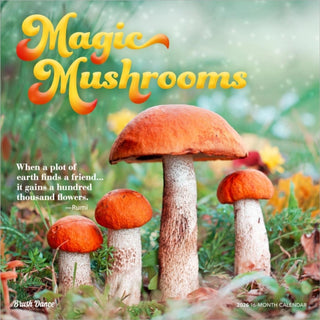 Cover image for 9798330706570 - Magic Mushrooms 2026 Square Flap Brush Dance Calendar