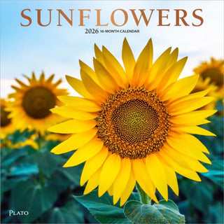 Cover image for 9798330706655 - Sunflowers 2026 Square Plato Foil Calendar
