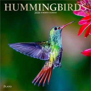 Cover image for 9798330706860 - Hummingbirds 2026 Square Plato Foil Calendar
