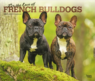 Cover image for 9798330707201 - French Bulldogs, For the Love of 2026 Deluxe Flap Foil Calendar