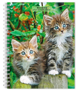 Cover image for 9798330709434 - Kittens 2027 Engagement