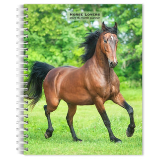 Cover image for 9798330709458 - Horse Lovers 2027 Engagement