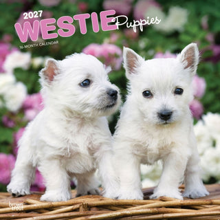 Cover image for 9798330710119 - West Highland White Terrier Puppies 2027 Square Flap