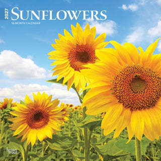 Cover image for 9798330711352 - Sunflowers 2027 Square Flap