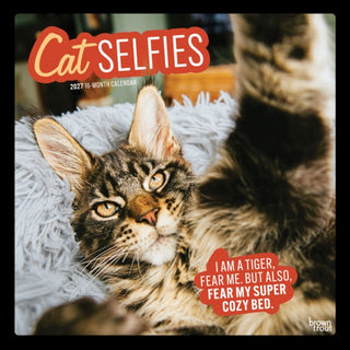Cover image for 9798330711383 - Cat Selfies 2027 Square Flap