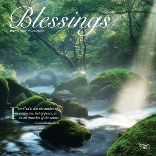 Cover image for 9798330711475 - Blessings 2027 Square Flap