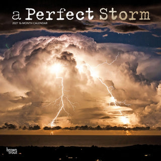 Cover image for 9798330711529 - A Perfect Storm 2027 Square Flap FOIL