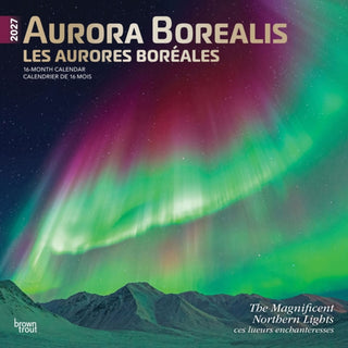 Cover image for 9798330711543 - Aurora Borealis Les aurores boréales 2027 Square Flap ENGLISH FRENCH FOIL
