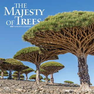 Cover image for 9798330711574 - Majesty of Trees, The 2027 Square Flap