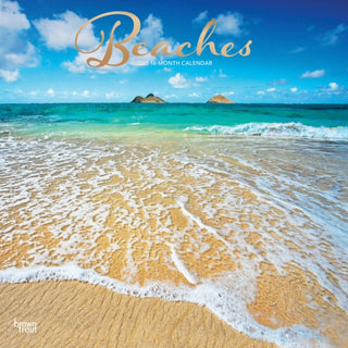 Cover image for 9798330711628 - Beaches 2027 Square Flap FOIL