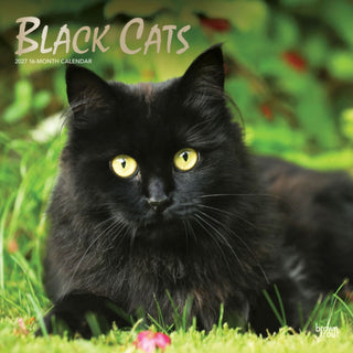 Cover image for 9798330711765 - Black Cats 2027 Square Flap FOIL