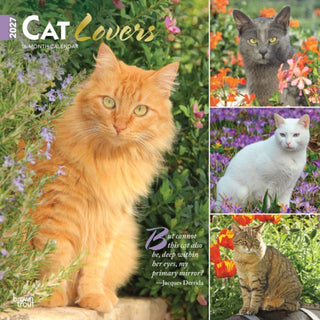 Cover image for 9798330711772 - Cat Lovers 2027 Square Flap FOIL