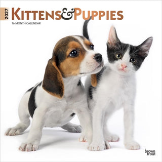 Cover image for 9798330711796 - Kittens & Puppies 2027 Square Flap FOIL