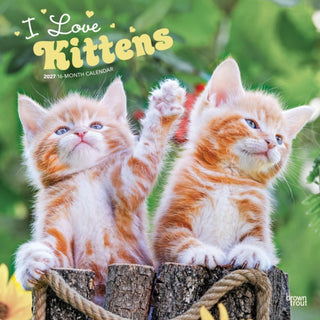 Cover image for 9798330711802 - Kittens, I Love 2027 Square Flap