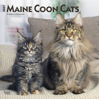 Cover image for 9798330711819 - Maine Coon Cats 2027 Square Flap
