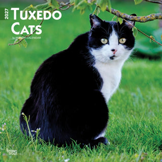 Cover image for 9798330711826 - Tuxedo Cats 2027 Square Flap